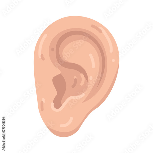 Illustration of Human Ear Organ