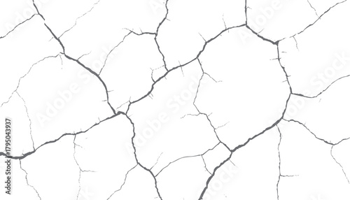 Gray cracked texture pattern on a white background abstract background graphic vector