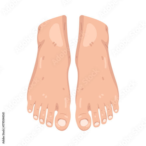 Illustration of Pair of Feet