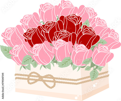 Pink and Red Roses bouquet in box illustration