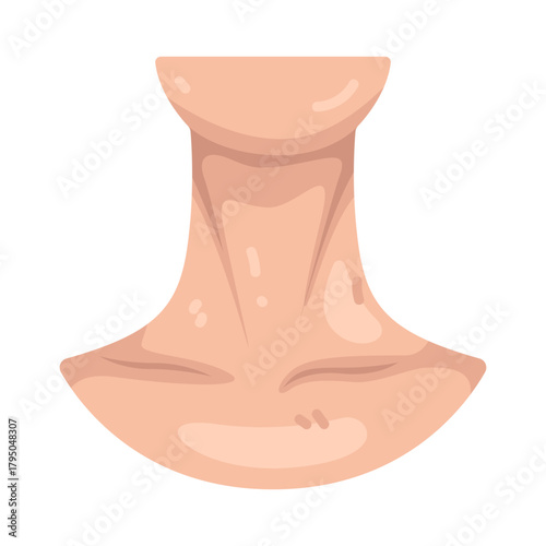 Illustration of Human Neck 