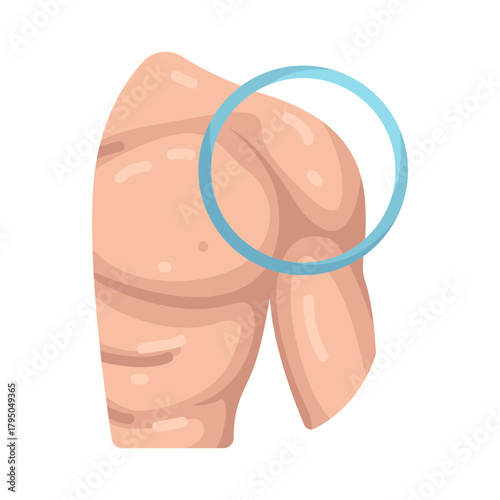 Illustration of Human Shoulder