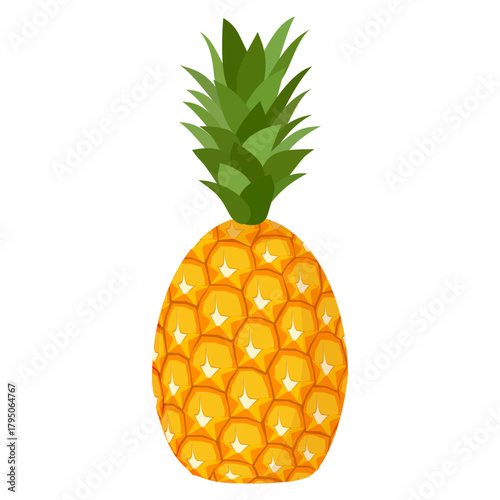 pineapple fruit illustration, summer fresh fruit theme