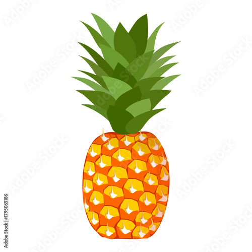 pineapple fruit illustration, summer fresh fruit theme