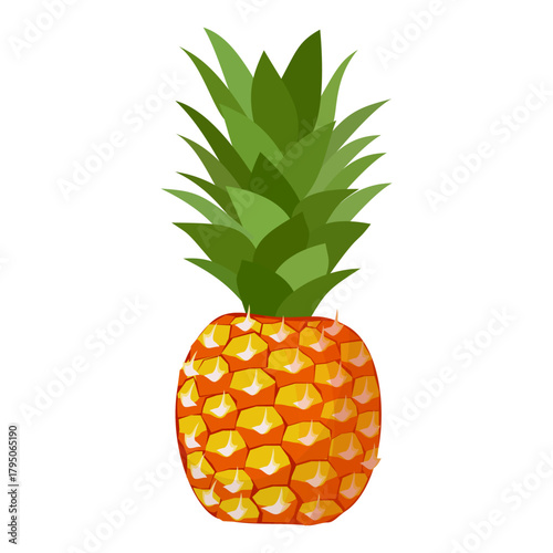 pineapple fruit illustration, summer fresh fruit theme	