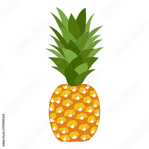pineapple fruit illustration, summer fresh fruit theme	