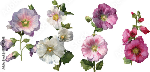 set of flowers isolated