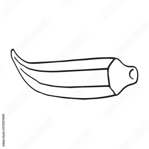 vector illustration of bhindi