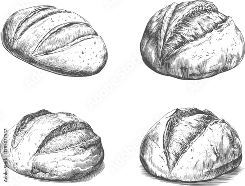 Set illustrations of sourdough bread isolated on transparent background. Vector graphics