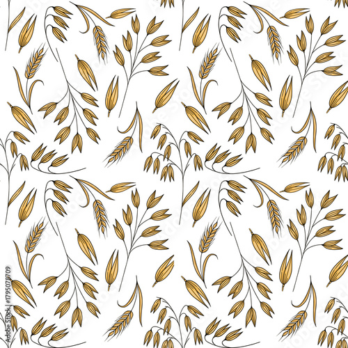 Seamless vector pattern of hand-drawn golden oat stalks and grains with delicate black outlines on a white background.