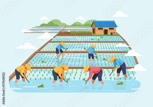 Farmers transplanting rice seedlings in flooded terraced paddies near a small house