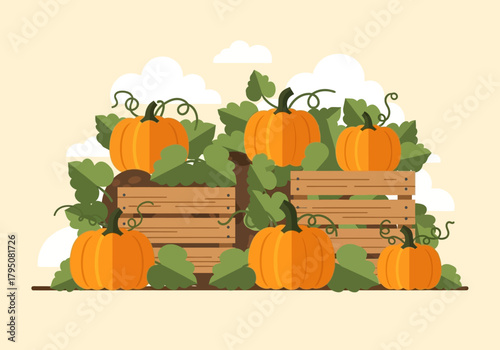 Flat illustration of orange pumpkins resting among green leaves near wooden crates