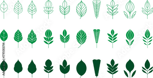 set of green leaves, Geometric Leaves