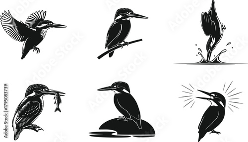 Detailed kingfisher bird silhouette vector set featuring dynamic flying poses, perched scenes, fishing actions, expressive wildlife behavior, perfect for nature illustration, branding, design projects