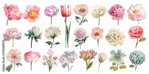 Collection of delicate watercolor floral illustrations in soft pastel pink and peach hues
