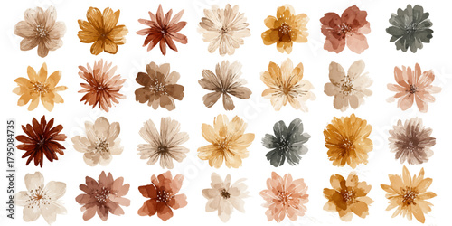 Collection of dried flowers and seed pods in a grid layout on white background