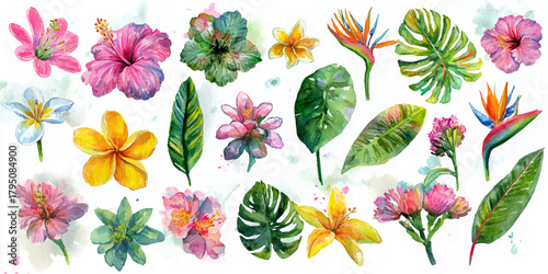 Vibrant watercolor tropical flowers and exotic leaves collection isolated on white background