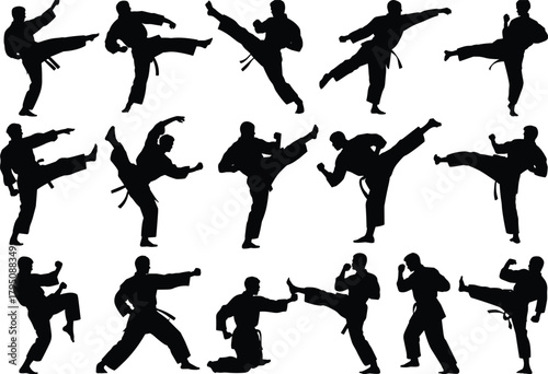 Martial arts silhouette, karate kicks, taekwondo poses, combat training, high kick technique, martial discipline, athlete movement, dojo action, black belt focus