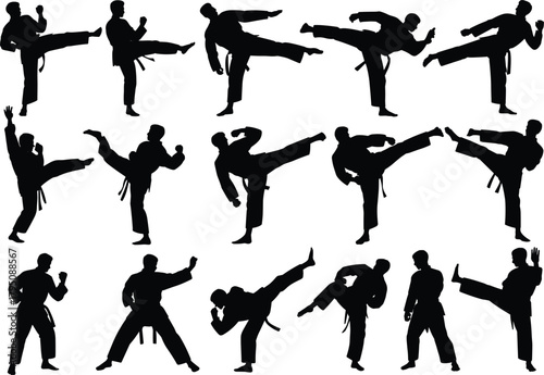 Martial arts silhouette, karate kick pose, taekwondo action, fighter stance, black figure, combat training, dynamic movement, self defense illustration