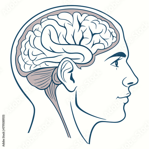 Illustration of a human head in profile with the brain visible inside, showcasing the complex structure and function of the organ
