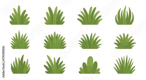 Green Grass Tufts Cartoon Illustration of Plants and Nature