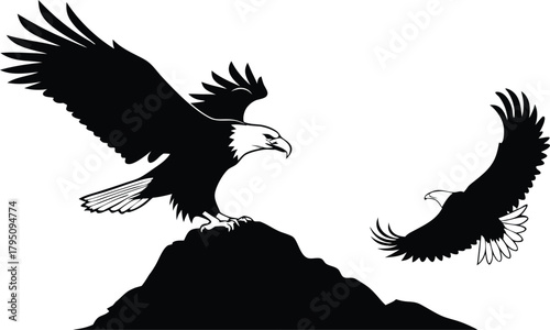 Majestic bald eagles soaring freely from mountain peak, symbolizing American strength, freedom, and powerful imagery, perfect for patriotic designs