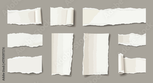 Collection of Torn Paper Pieces for Collage and Design Projects