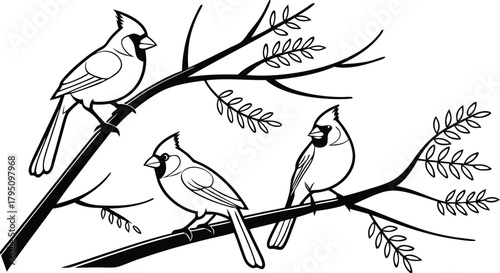 Elegant line art of three cardinals perched on delicate branches, a classic design with natural charm and timeless appeal for creative projects