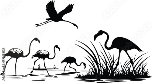 Graceful flamingos wading, feeding, and flying in a serene wetland habitat, a peaceful nature scene, elegant wildlife illustration, vector origin