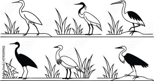 Elegant heron silhouettes in linear illustration style for nature designs, perfect for wildlife conservation themes and serene wetland imagery inspiration