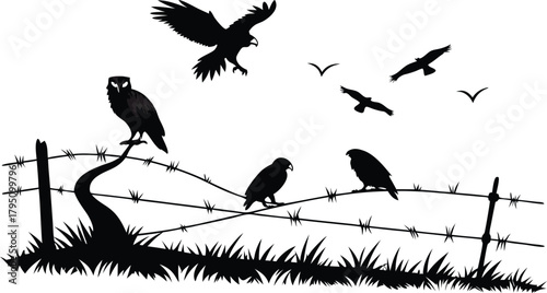 Eerie silhouettes of birds perched and flying near a barbed wire fence create a haunting, mysterious mood perfect for nature or suspense themes