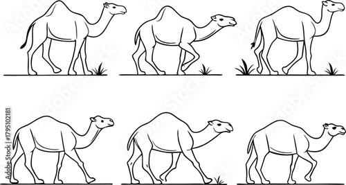 Elegant camel herd in motion graphic, desert animal migration, originally a scalable vector, perfect for branding travel or educational content