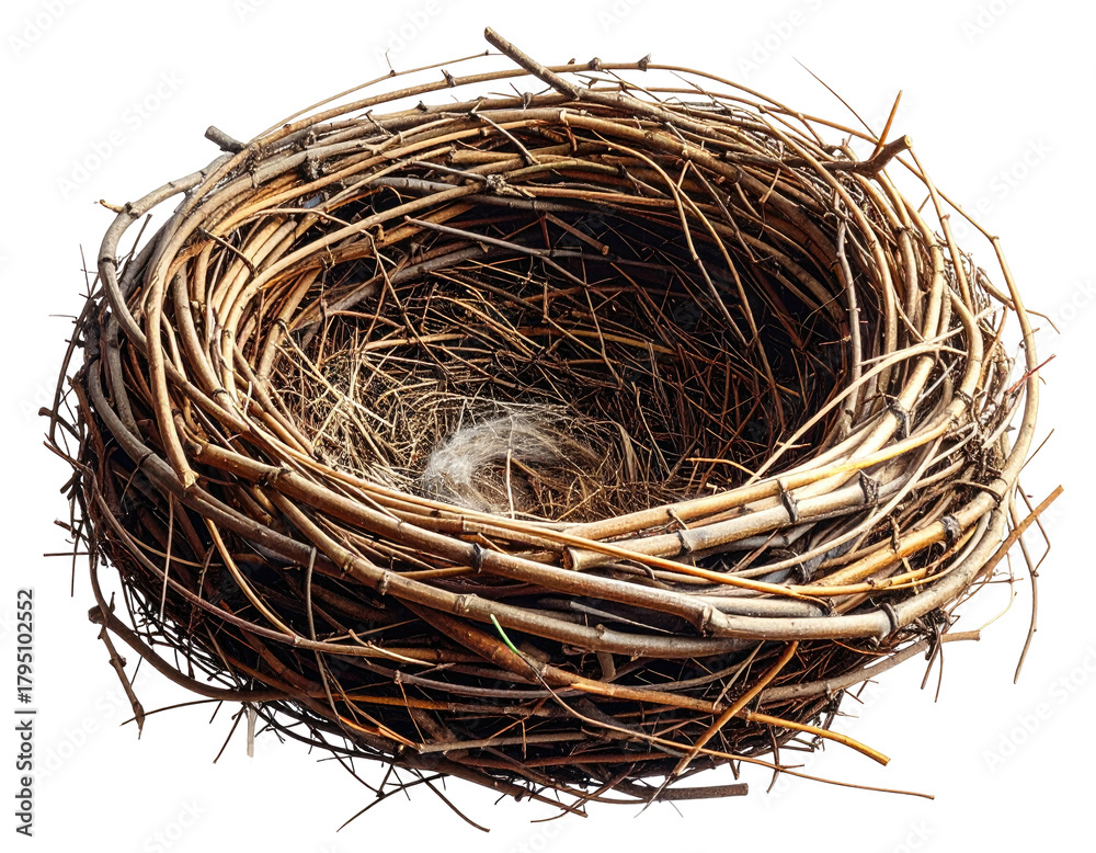 Obraz premium Close-up of a rustic, empty bird's nest woven from brown twigs, on a transparent background