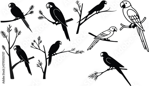 Elegant parrot silhouette collection for striking designs, a timeless symbol of tropical beauty and exotic wildlife, perfect for creative projects
