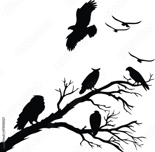 Dramatic silhouettes of birds perched on barren branches, a powerful symbol of freedom and nature's stark beauty, perfect for evocative designs