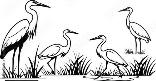 Elegant heron illustrations in a charming monochrome style, perfect for nature lovers and timeless designs with a vintage appeal