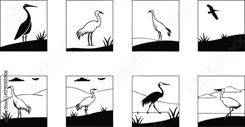 Elegant heron illustrations, diverse poses in nature, originally vector art suitable for logos, wildlife designs, and conservation projects