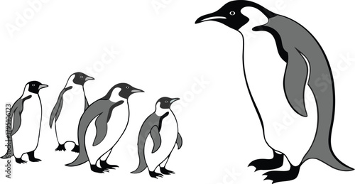 Elegant penguin family illustration, originally vector art, showing parent guiding group of young penguins in simple, charming style, perfect for children