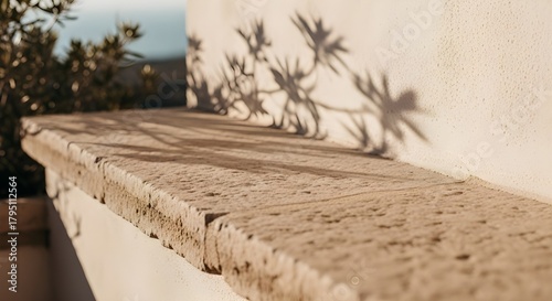 sunlit stone ledge with plant shadows on textured wall