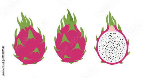 Vibrant illustration of dragon fruit in various views, showcasing its bright pink exterior and speckled white flesh, a tropical delight.