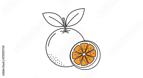 A vibrant illustration depicts a whole orange alongside a sliced orange revealing its juicy segments, showcasing a fresh and healthy fruit concept.