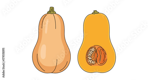 Illustration of a butternut squash, shown whole and cut in half to reveal the seeds inside, on a white background.