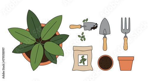 Gardening tools and a potted plant illustrate the process of planting and nurturing greenery, representing growth, horticulture, and a connection to nature.