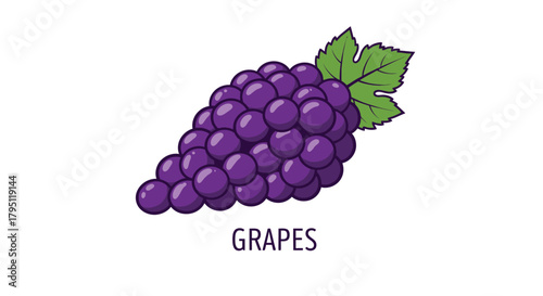 Cartoon illustration of a bunch of purple grapes with a single green leaf