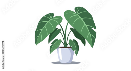 A vibrant monstera deliciosa plant in a modern white pot, showcasing its iconic split leaves and lush green foliage, bringing a touch of the tropics indoors.
