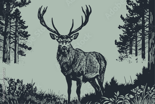Majestic red deer stag with large antlers in a pine forest. Hand-drawn vector illustration in a vintage engraving or woodcut art style for a logo or print.