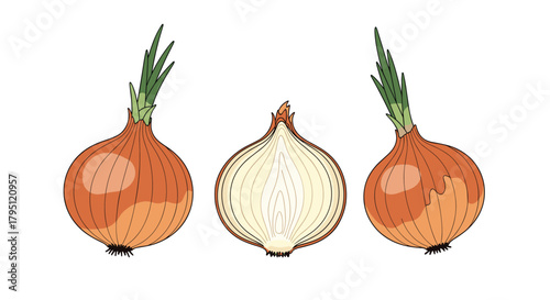 Illustration of three onions displayed in different views - a whole onion, a halved onion showing layers, and another whole onion, all with green stalks.