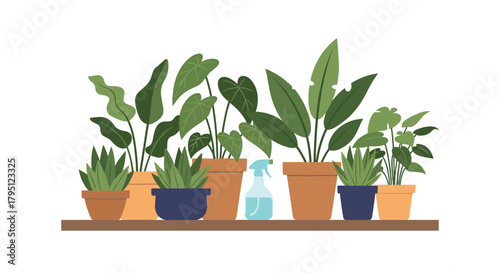 A collection of vibrant, healthy houseplants displayed on a wooden shelf, creating a calming and natural indoor environment for home decor.