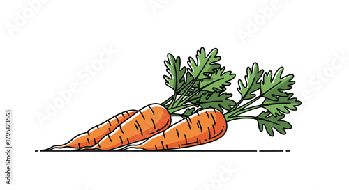 A vibrant illustration of two fresh carrots with lush green tops, showcasing a healthy and natural food source, perfect for dietary and agricultural themes.