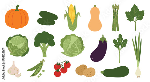 A colorful assortment of fresh vegetables arranged in a flat lay style, showcasing a variety of produce for healthy eating and culinary applications.